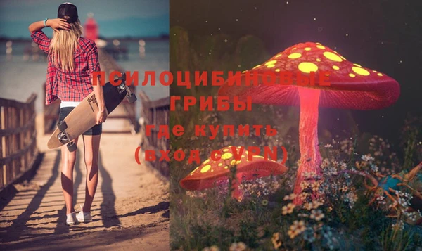 гашик Балахна