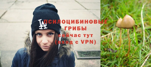 гашик Балахна